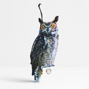 FB142 Vogelverschrikker Oehoe Studio