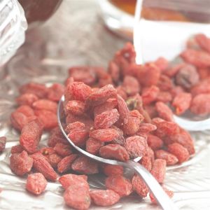 Lycium Barbarum Sweet Goji