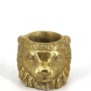 Lion Head Golden diameter 12 cm