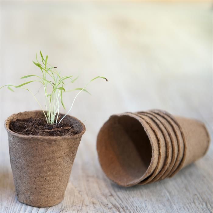 Vasi Da Coltivazione Biodegradabili Meister | 96 Pezzi 4x4cm In Cellulosa PEFC | Senza Torba